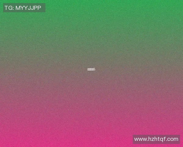 篮球明星5 篮球明星5